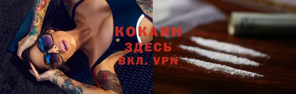 apvp Горнозаводск
