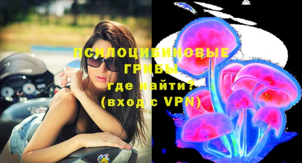 2c-b Горняк