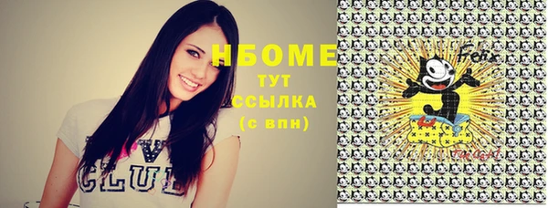 apvp Горнозаводск