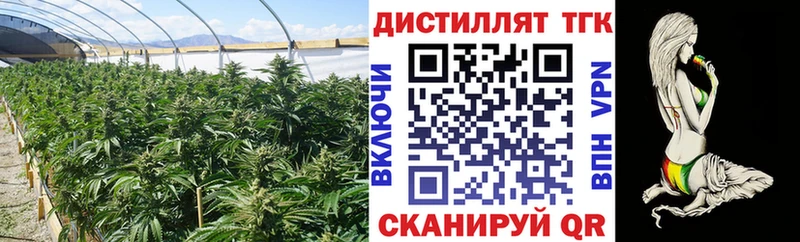 Дистиллят ТГК Wax  Купить  Семикаракорск 
